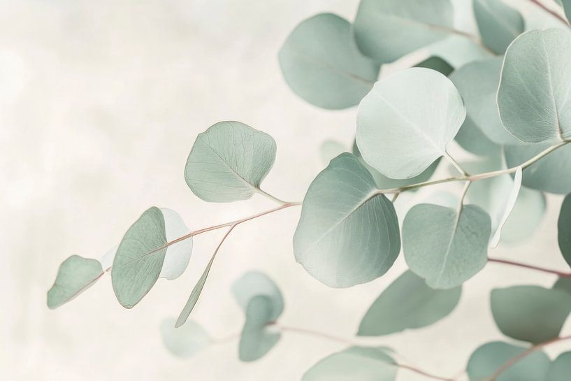 Eucalyptus branches by Poster Art Shop