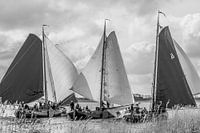 Before the wind