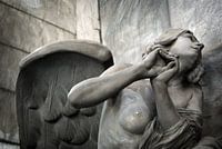 Naked angel