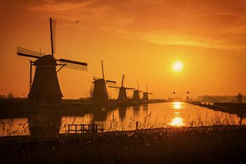 Sunrise @ Kinderdijk