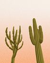 2 cactussen met de zonsondergang van Klaudia Kogut thumbnail