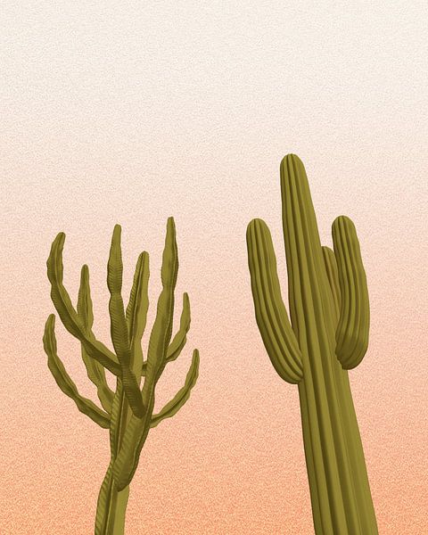 2 cactussen met de zonsondergang van Klaudia Kogut