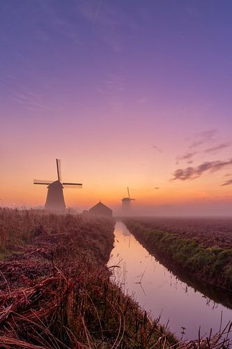 Colourful sunrise at the Schermer windmills