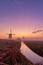 Farbenfroher Sonnenaufgang an den Schermer-Windmühlen von Photo Henk van Dijk Miniaturansicht