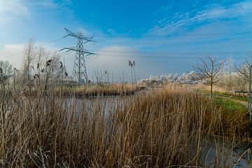 Le paysage des polders sur Ivo de Rooij