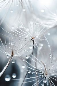 Tiny Wet World