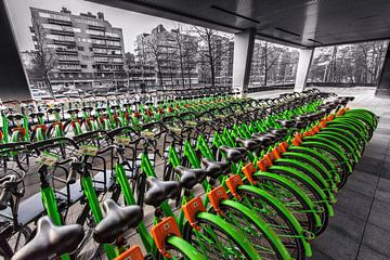 Bicycles by Rob Boon