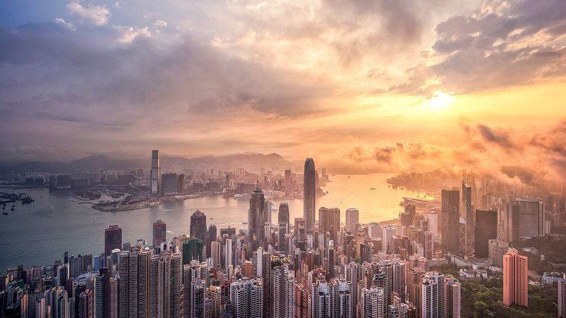 Hongkong Skyline van Photo Wall Decoration