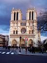 Notre Dame '2of4' van Niels van Houten thumbnail