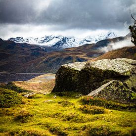 Oostenrijkse Alpen/Piz Buin van Madan Raj Rajagopal