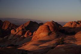 Yant Flat - Candy Cliffs - Cottonwood Forest Wilderness Utah USA van Frank Fichtmüller