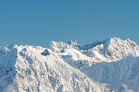 Close up of snail in winter dress by Leo Schindzielorz