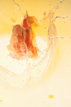Grapefruit splashed 2 by Marc Heiligenstein