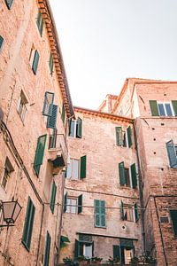Rosa Gebäude mit grünen Fensterläden | Reisefotografie Druck | Siena Toskana Italien