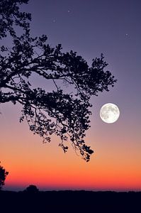 Pleine lune au coucher du soleil sur Corinne Welp