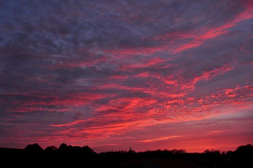 Pink clouds at sunset
