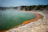 Champagne Pool