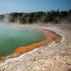 Champagne Pool von Candy Rothkegel / Bonbonfarben