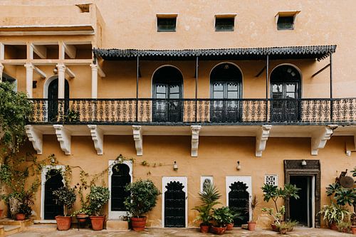 Pastel kleurig geel fort in India met leuke plantjes