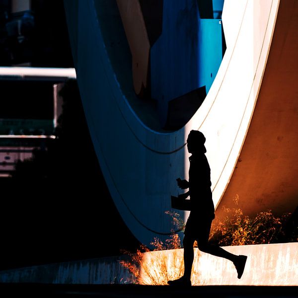 Street photography silhouette Los Angeles by Rutger van Loo