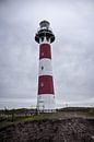 Lighthouse by Driek Steegmans thumbnail