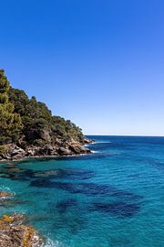Cliffs on the Mediterranean in France in spring