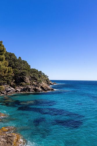 Klippen am Mittelmeer in Frankreich im Frühling