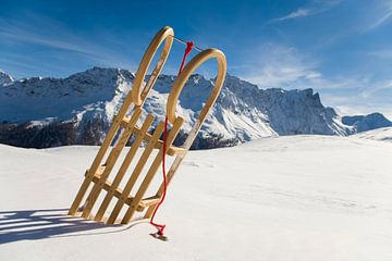 Wood sledges near Savognin in Switzerland by Werner Dieterich