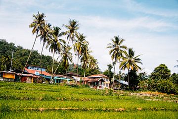 Dorpje met palmbomen en rijstvelden op Sumatra, Indonesië van Expeditie Aardbol