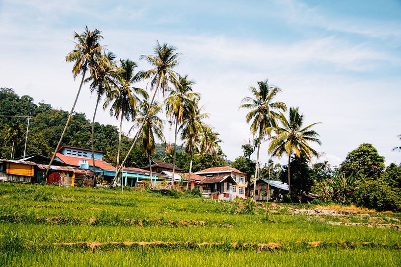 Village avec palmiers et rizières à Sumatra, Indonésie par Expeditie Aardbol