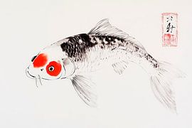 Koi multicolore - l'élégance asiatique sur Poster Art Shop