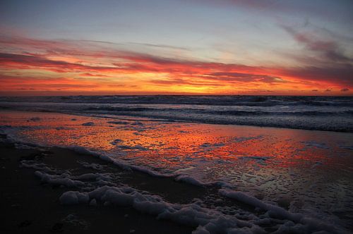 Texel Zeezicht 026