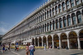 Leading lines by Jelina de Klerk