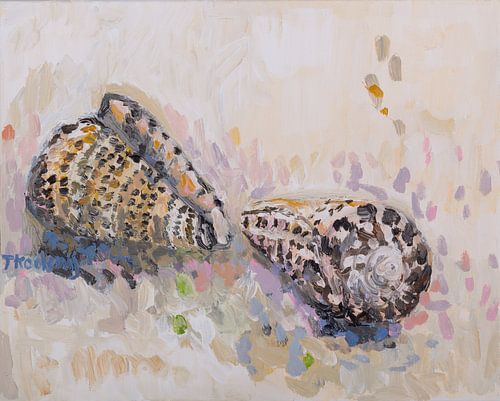 Stilleven met schelpen 2 (Conus)