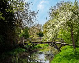 Idyllische Holzbrücke im Frühling über die Wörnitz in Donauw von ManfredFotos