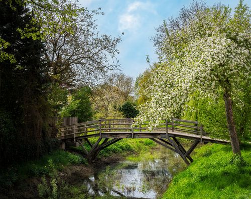 Pont en bois idyllique au printemps sur la Wörnitz à Donauw