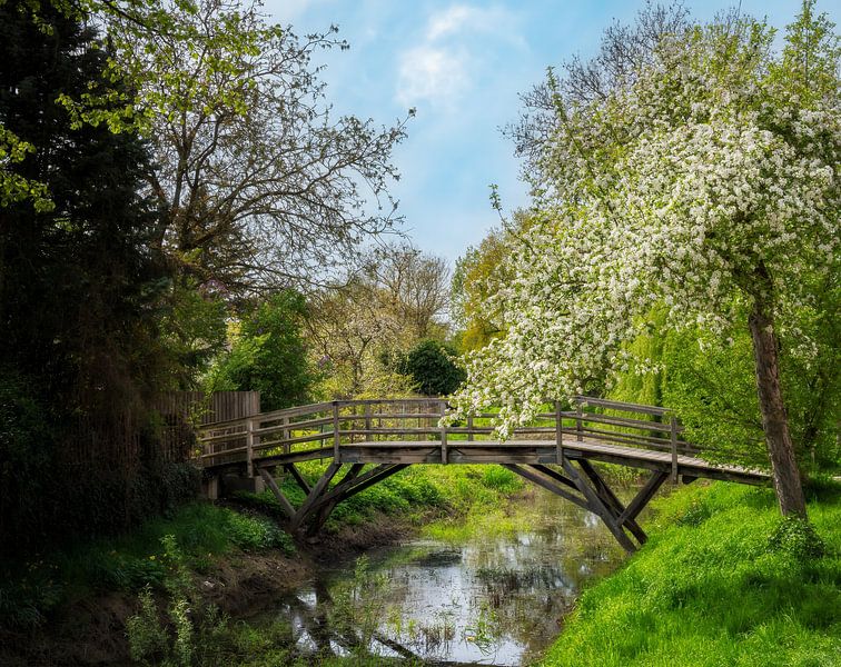 Idyllische houten brug in de lente over de Wörnitz in Donauw van ManfredFotos