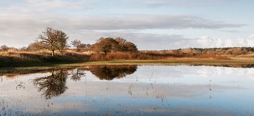 Duin panorama over het water