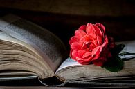 Boek & Roos close van Simone Karis thumbnail