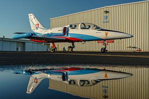 Aero L-39 Albatros Jet-Trainer.