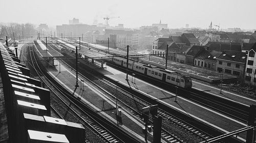 Boven de nevel, stadsgezicht Aalst, België