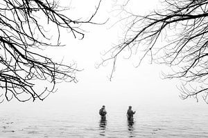 Entre les arbres dans la mer