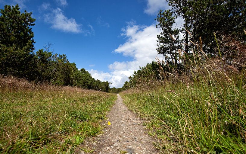Wanderweg von Bo Valentino