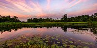 Farbenfroher Sonnenuntergang am Wasser