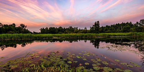 Coucher de soleil coloré au bord de l'eau