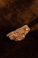 Gold Fever, pièce d'or vintage de luxe