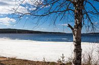 Een bevroren meer in Finland van Irene Hoekstra thumbnail