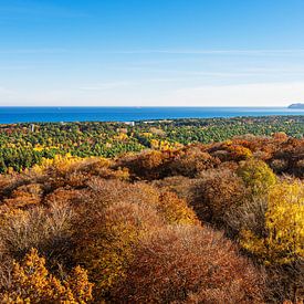 View of autumnal forests and the Baltic Sea on the island of Rüge by Rico Ködder