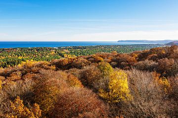 View of autumnal forests and the Baltic Sea on the island of Rüge by Rico Ködder