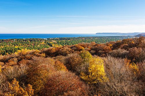 View of autumnal forests and the Baltic Sea on the island of Rüge